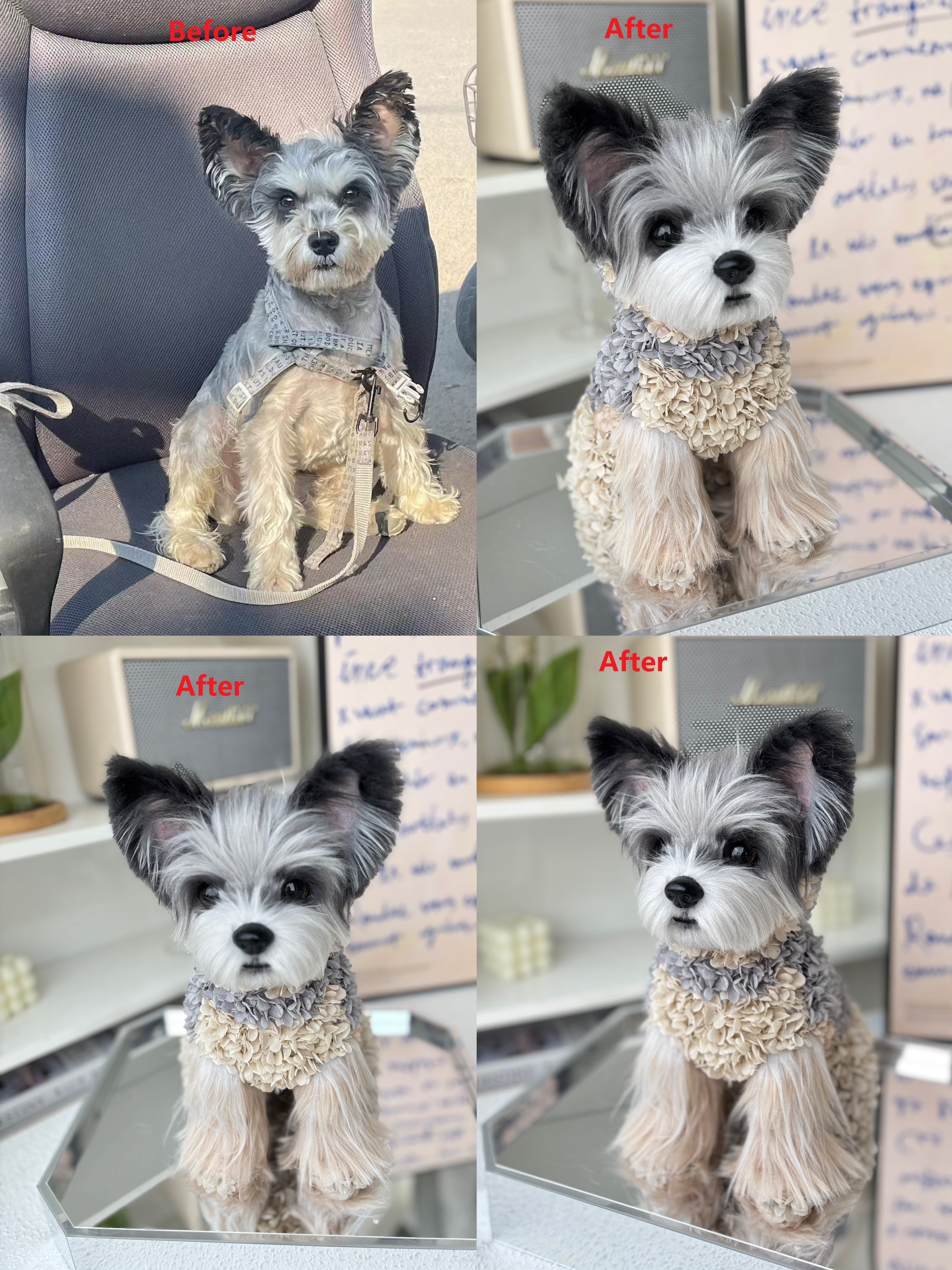 Dog Memorial Keepsake Ideas: Meaningful Ways to Remember a Beloved Companion