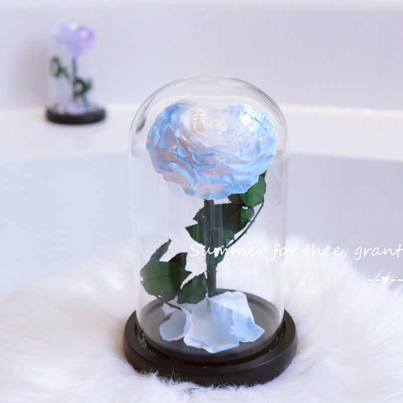 d9250cb2-9f4e-411c-9c4d-041cb7c7cf3a