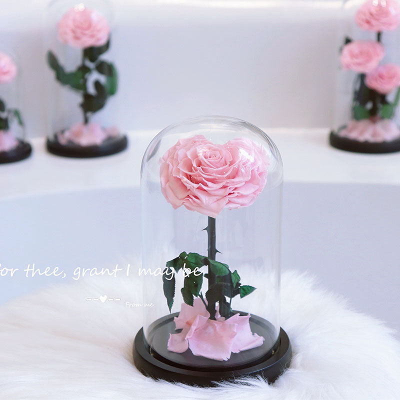 4a2479b9-6bdf-49c2-a328-bec79090a582