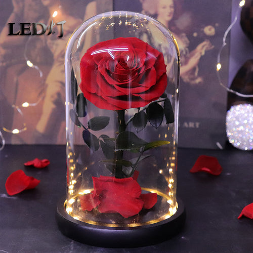 50e2c8f7-342c-4b53-b106-e16c00ca6fa2