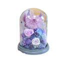 Preserved Gerbera Daisy Glass Dome Mixed Eternal Rose Table Decor Gift