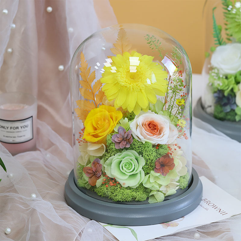 44774e35-a21c-4800-9c29-9a86a0c3e5ac