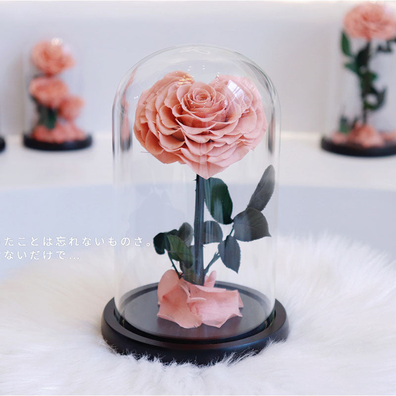 677ab9ea-ff0e-4fab-9c86-642aea39c6be