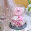 df6c345d-bb99-45cd-ad3d-707f193034e2