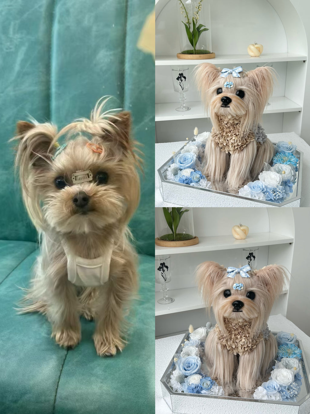 Custom Luxury Preserved Flower Gift Box for Preserved Flower Pet Sculptures, Plush Toys, and Doll