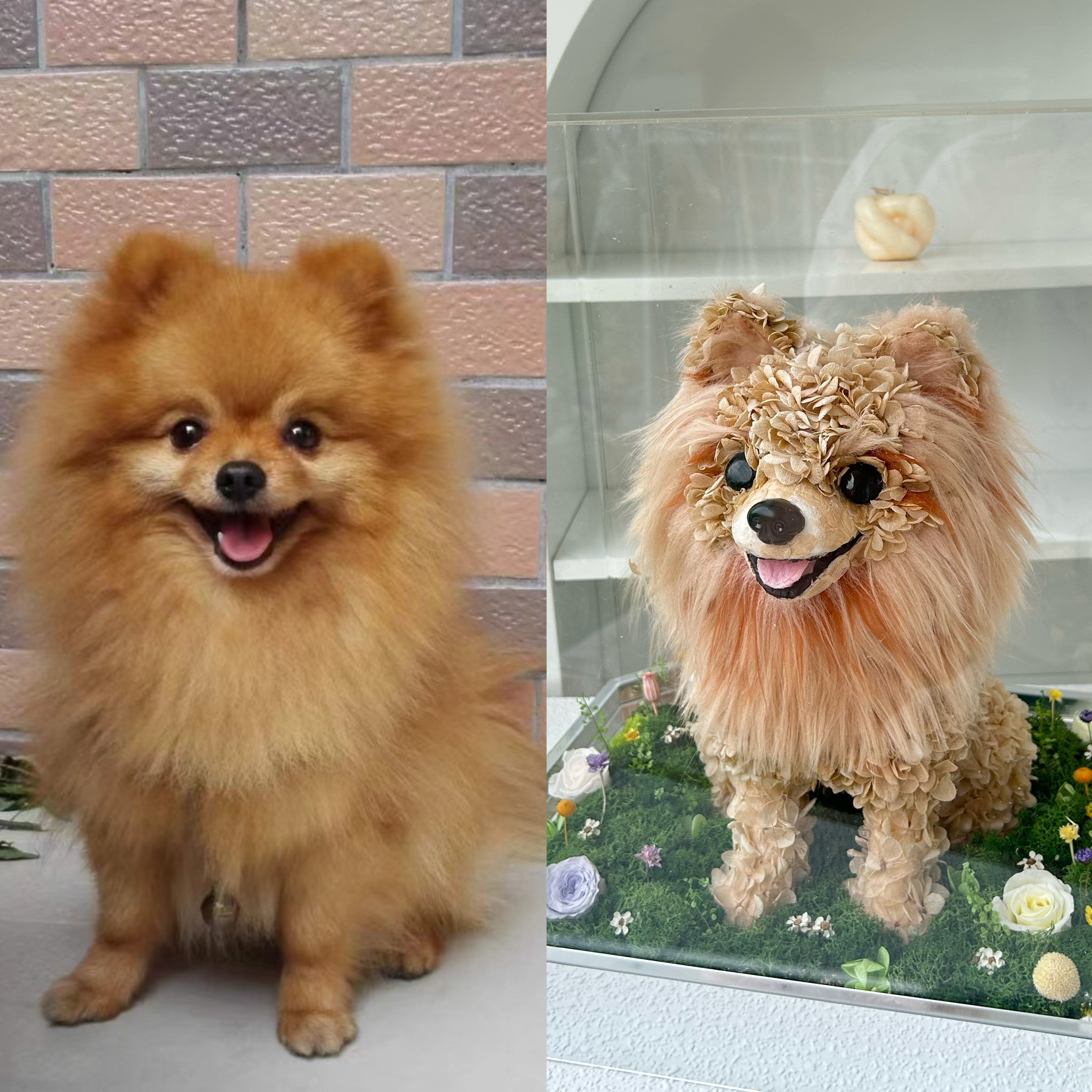 Custom Luxury Preserved Flower Gift Box for Preserved Flower Pet Sculptures, Plush Toys, and Doll