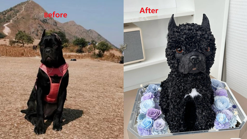 Custom Luxury Preserved Flower Gift Box for Preserved Flower Pet Sculptures, Plush Toys, and Doll