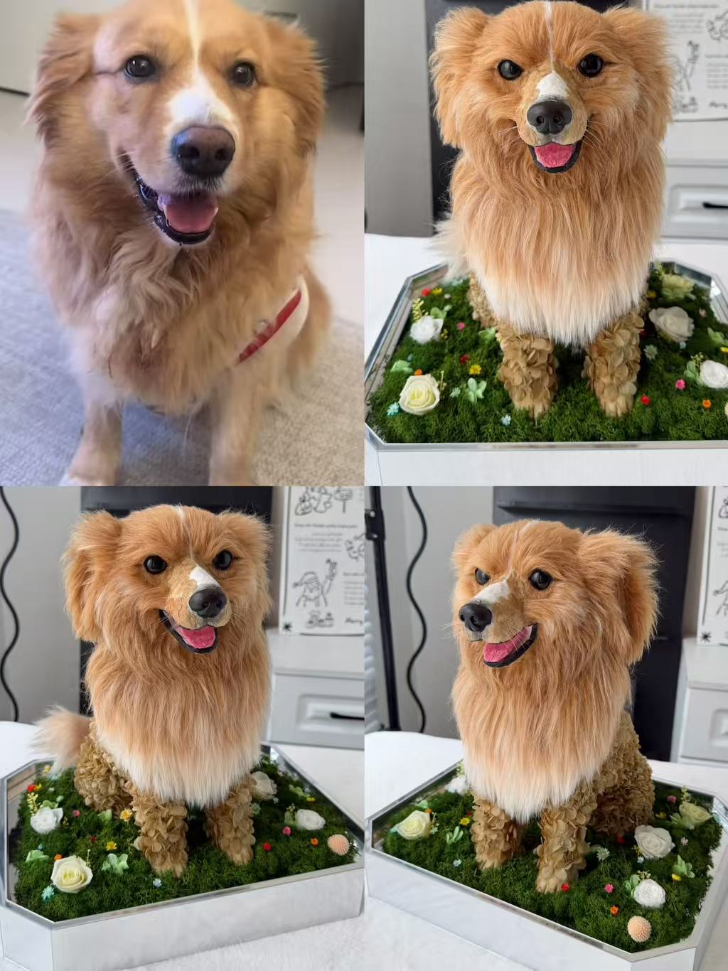 Custom Luxury Preserved Flower Gift Box for Preserved Flower Pet Sculptures, Plush Toys, and Doll