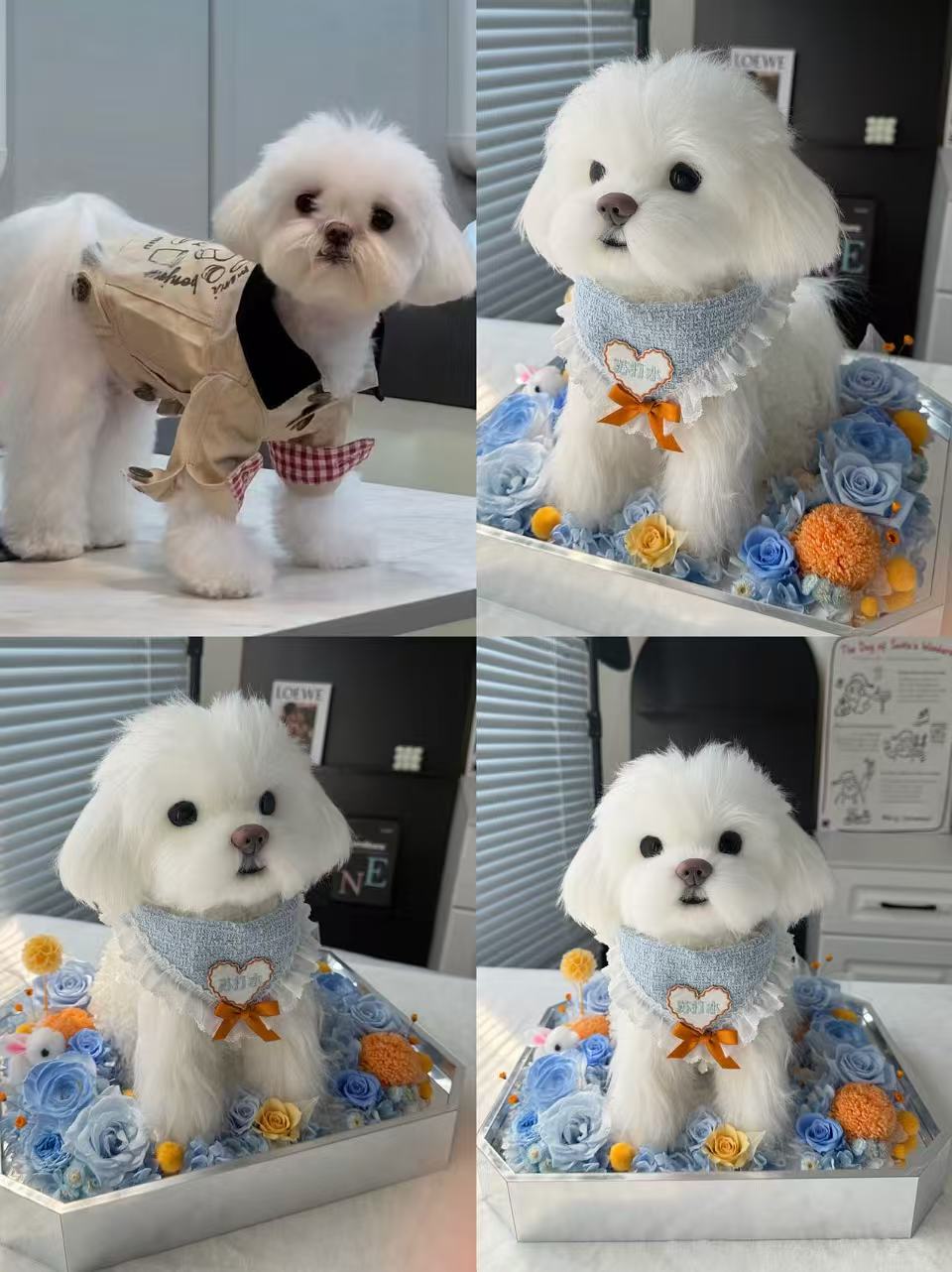 Custom Luxury Preserved Flower Gift Box for Preserved Flower Pet Sculptures, Plush Toys, and Doll