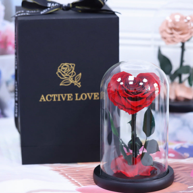 13c5a6f2-6232-4073-8c11-b6842d700049