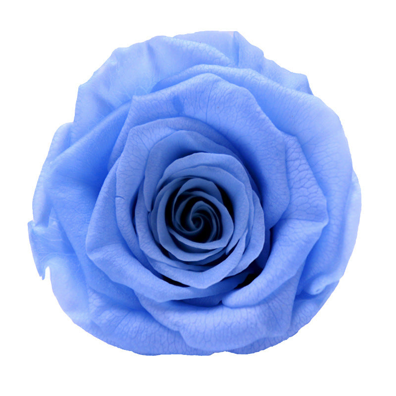 80a6746d-48c7-4909-a4a7-773f1e9e50d8