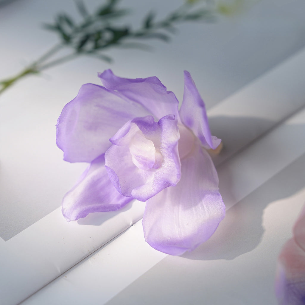 6f1b5ba5-a938-450c-9fd2-57600b94876b