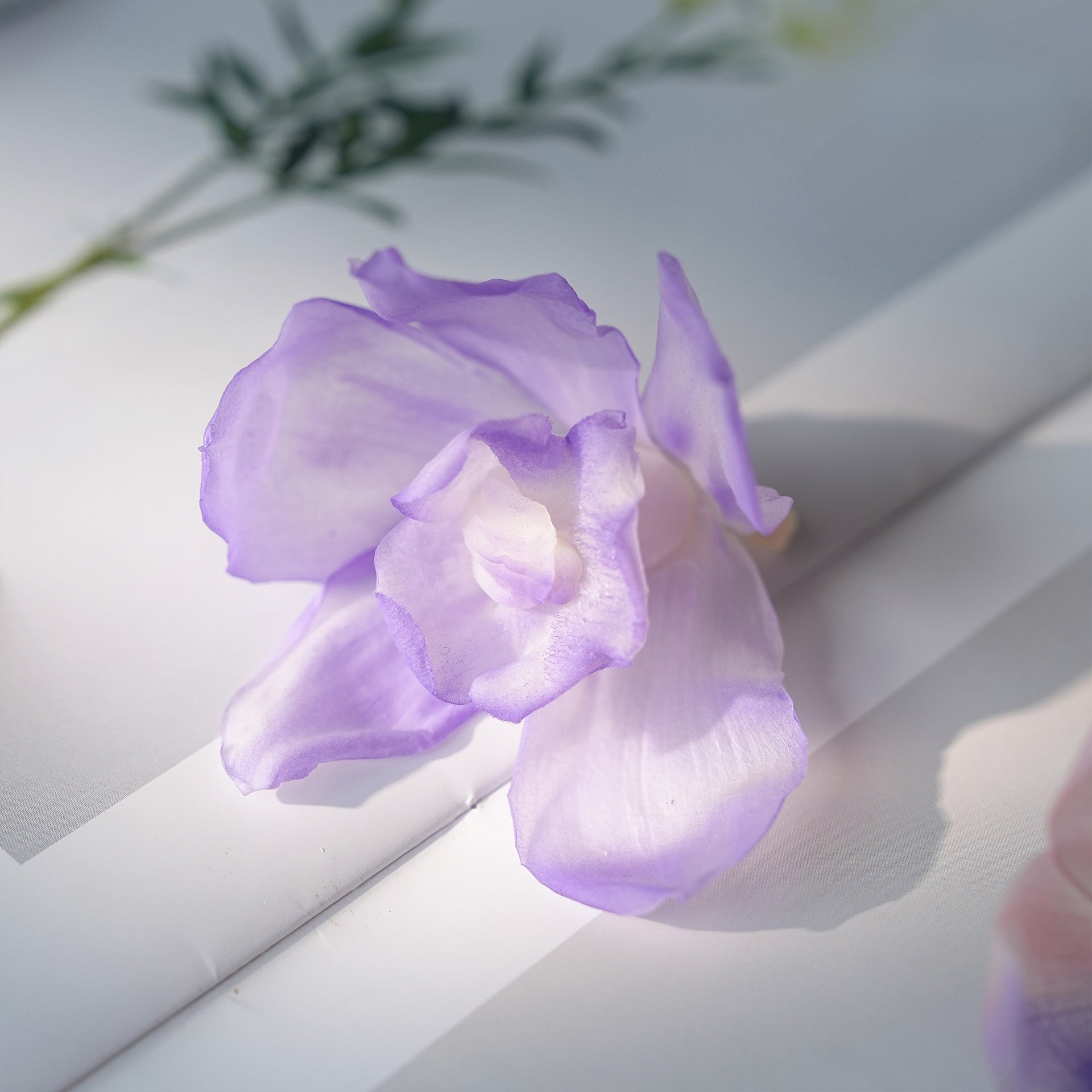 6f1b5ba5-a938-450c-9fd2-57600b94876b
