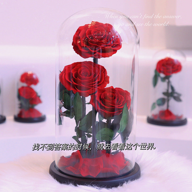 113120ef-e3c4-483c-a572-6c3e9b531f71