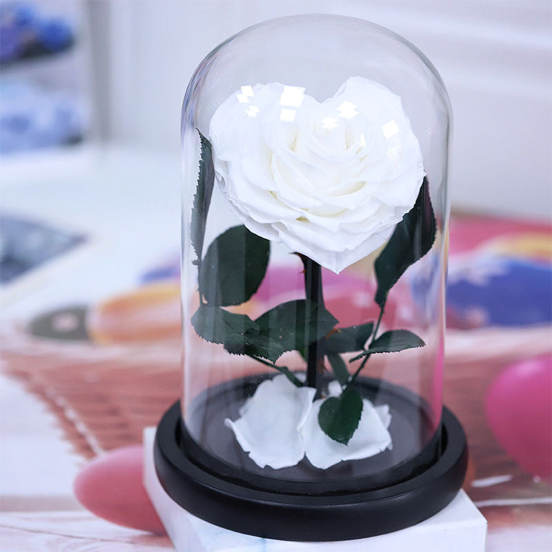 588cffd8-b9c1-48f8-99a6-32db5274a695