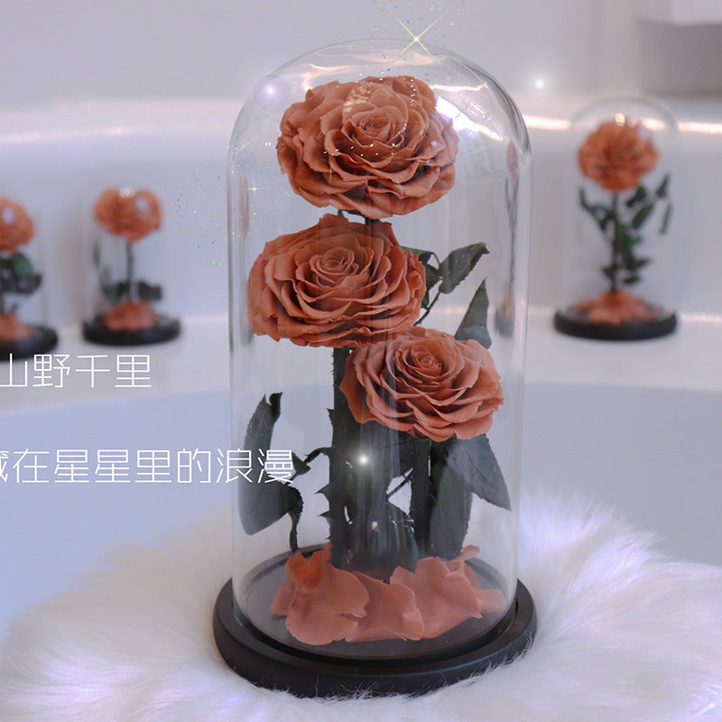 6dc279e1-6919-42de-ae51-fa2d961a77b6