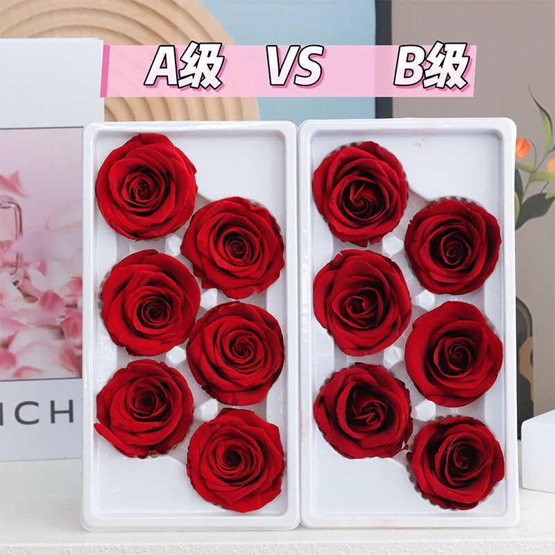 c5554e19-58ac-450d-aaac-4391b5c0c1da