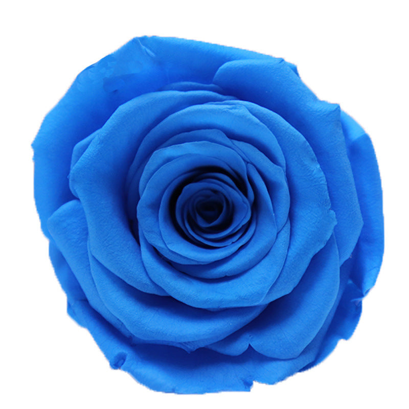 6ebd88e8-939c-49c1-bb96-9f02c8cea260