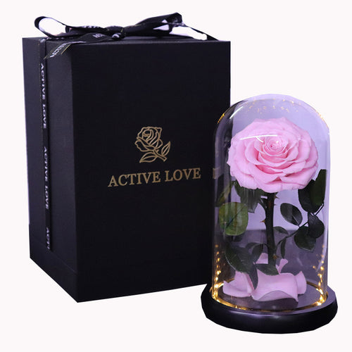 df32816e-9e27-4ff2-993a-c0a639b58b1d