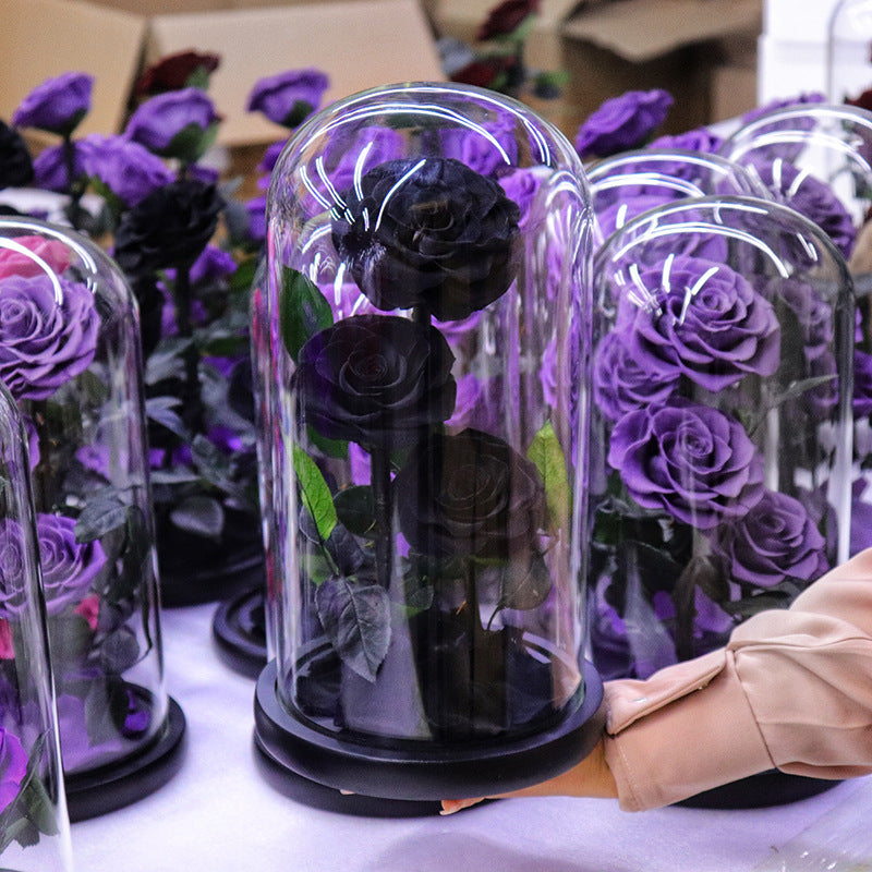 98dd8b73-8b86-48f7-8a38-a0c05139e3a3