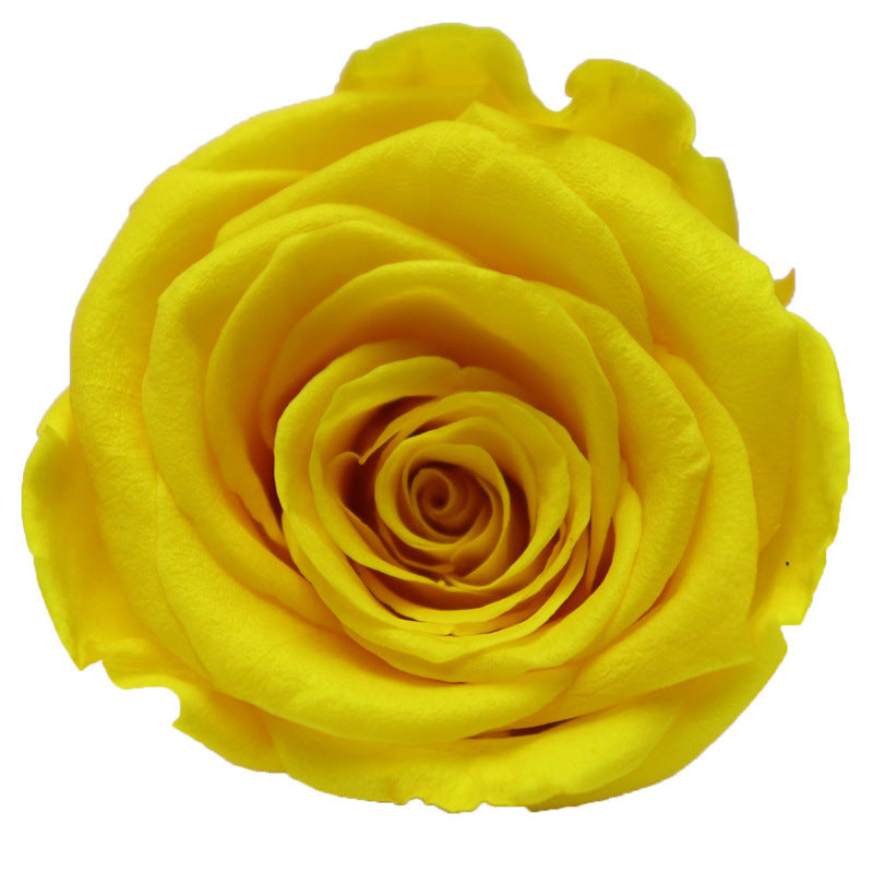 572d4e0f-6f52-4462-8775-c1c09d4ece42