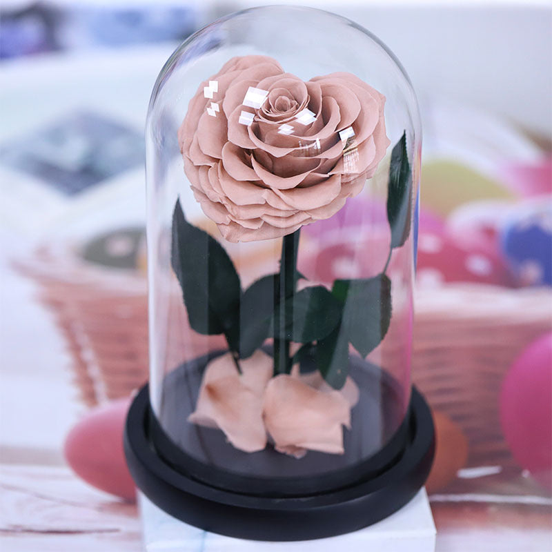 e6f3f2ec-0807-427f-a061-dee1bad36c65