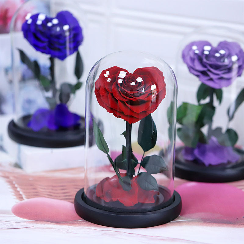 449c34f4-0dce-415e-ad31-d97e13d3360a