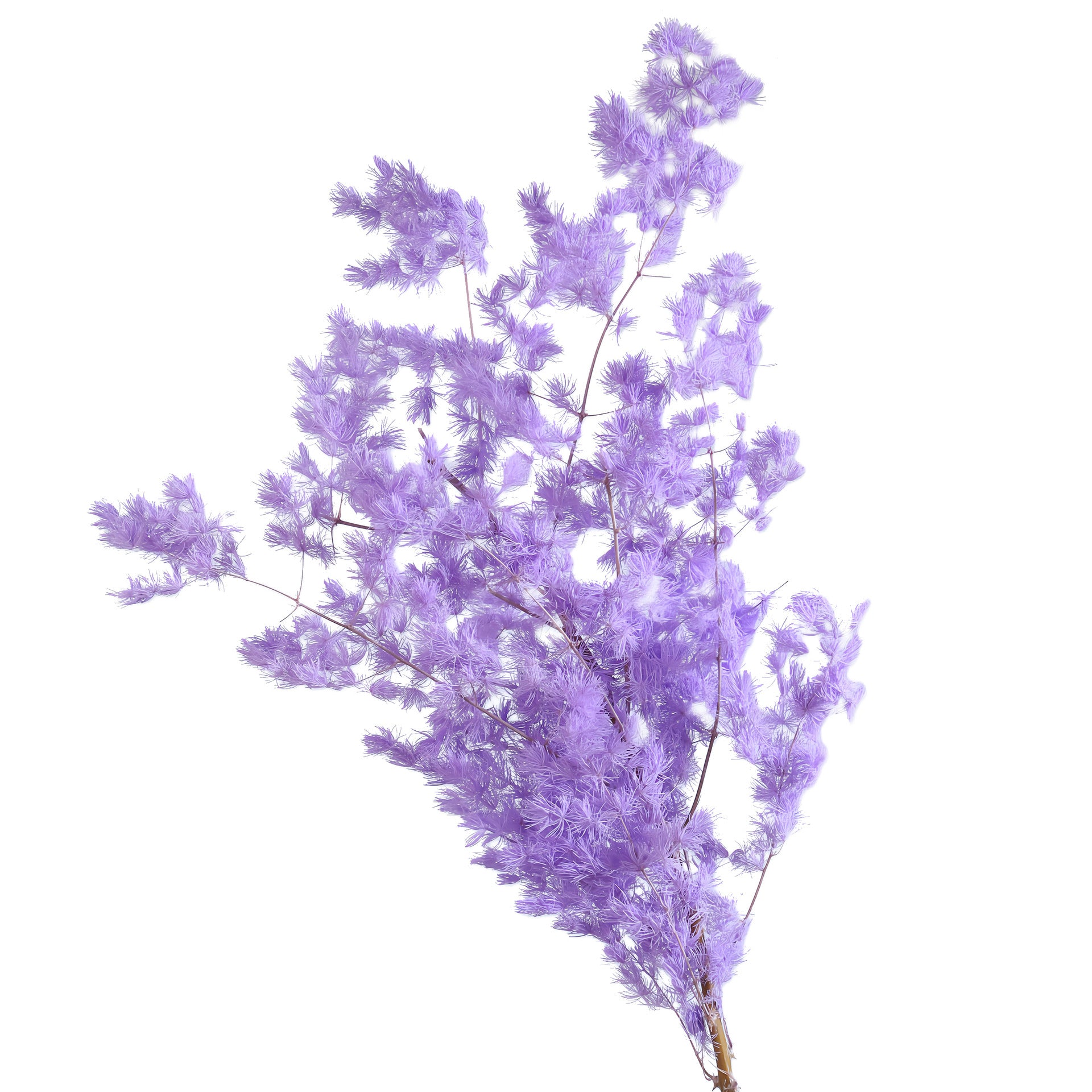 20920d42-a227-423e-812c-0fee39c48d02