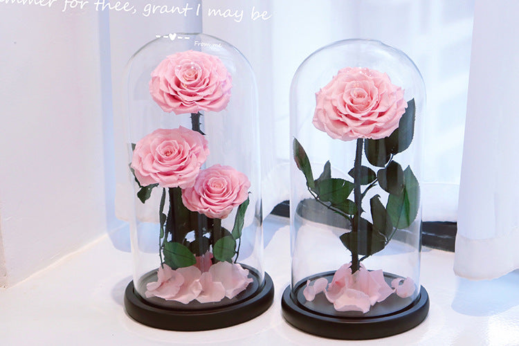 8ca8bb60-a388-40ea-a729-917b2f72e54b