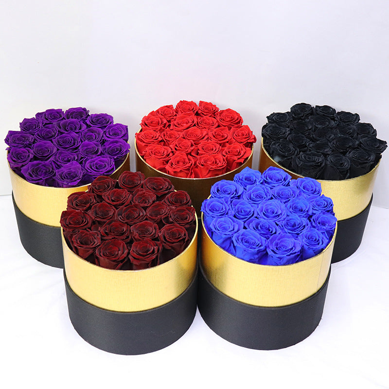 13392398-dd1e-4684-99a6-a3ba76296d2e