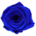 38af6206-1b6e-4b3f-a1b3-20fd63e312db