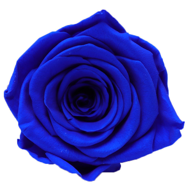 a1366dea-7770-4755-9698-22e2eae7de2e