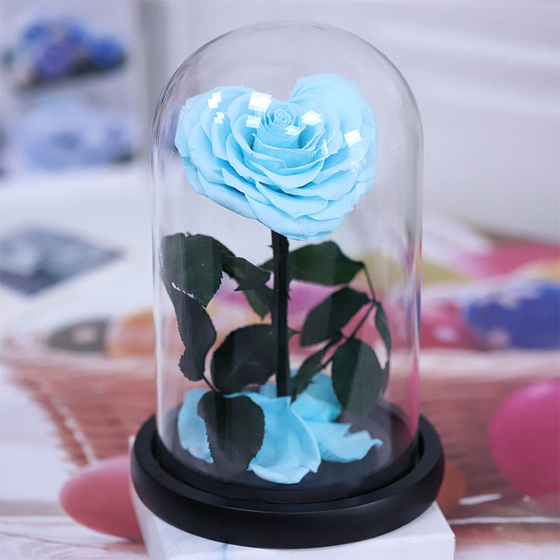 2cfa086b-0fd5-4a90-aed4-65086aaff405