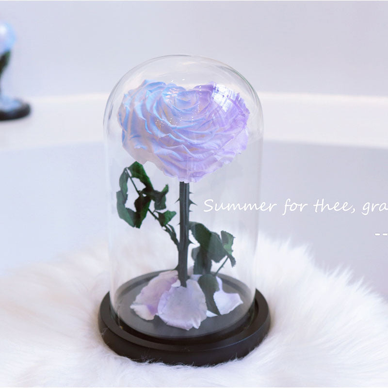 1cdd8a08-f9d3-46de-9be8-11c45fbfafaa