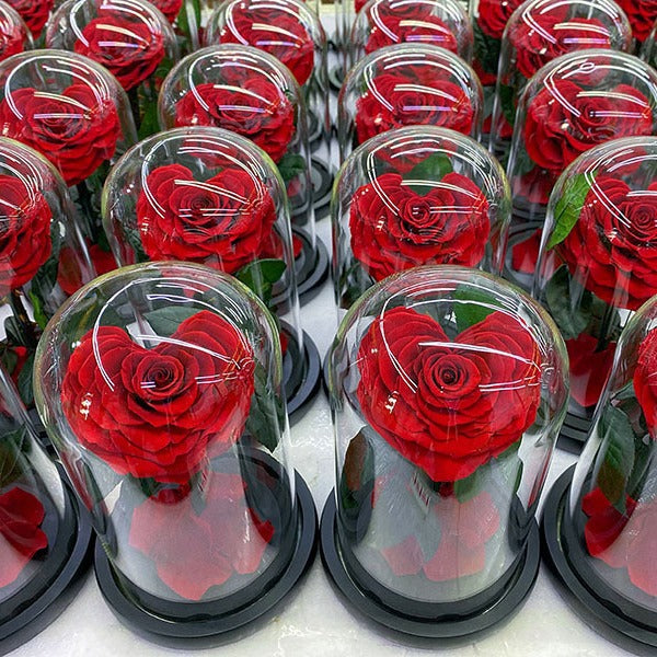 90c71589-9944-49ac-9586-50b4d889d447