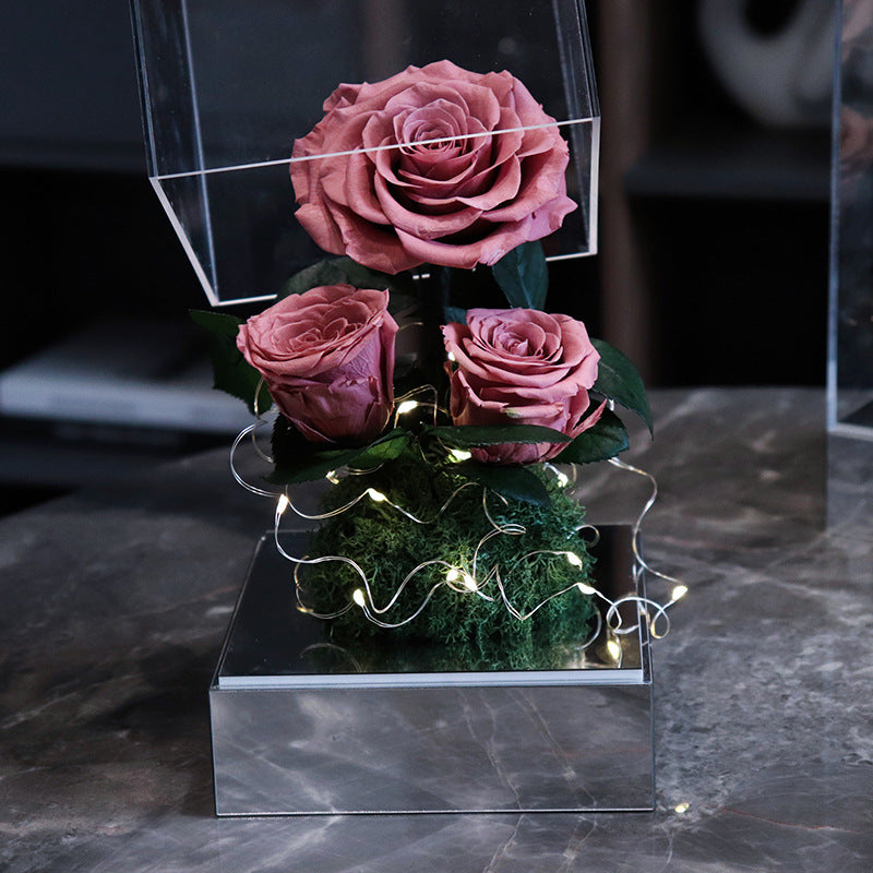 Dusty pink preserved three forever roses in reflective mirror acrylic box with fairy LED lights, elegant flower gift for birthday & Valentine’s Day