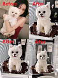 Custom Luxury Preserved Flower Gift Box for Preserved Flower Pet Sculptures, Plush Toys, and Doll