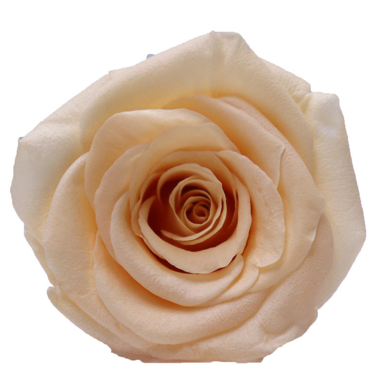 c1bb6da5-f836-4762-b559-4ab10faa762b