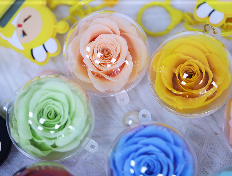 7ea82560-e27d-49ad-8fe0-a751f1fbebe1