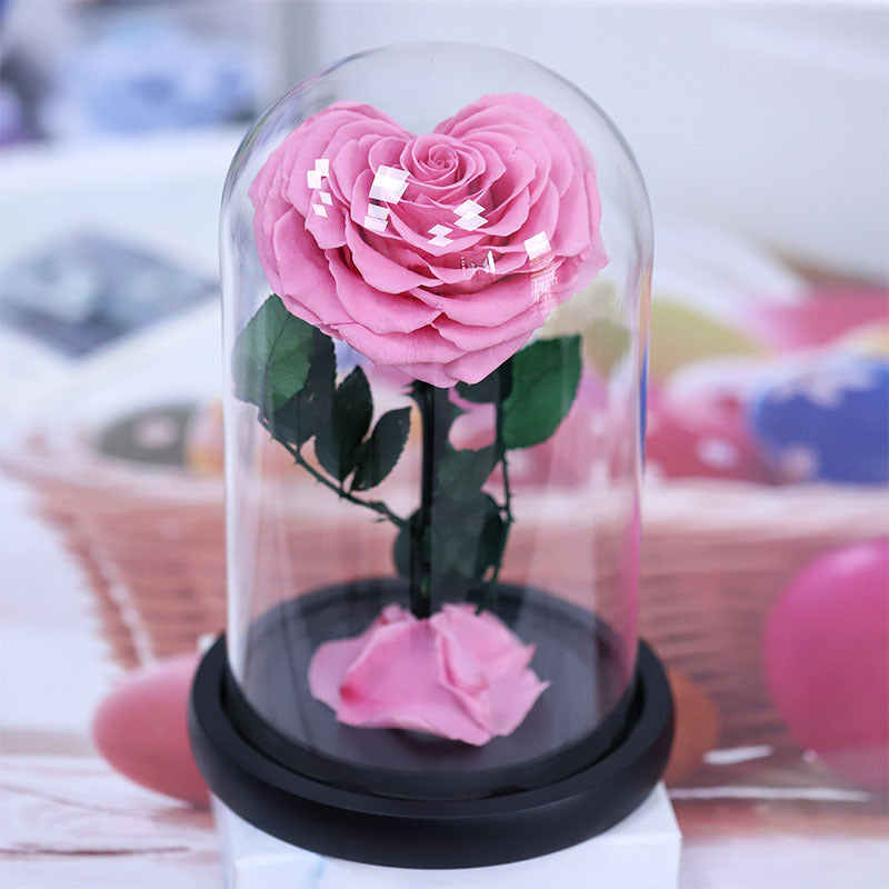 d57ba50f-ebeb-4d2a-8137-7057df4ffdc6