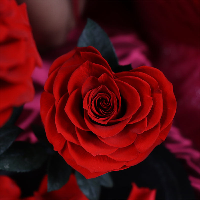 2b39d9bb-1fab-4ba8-9ddd-1e791fb843b4