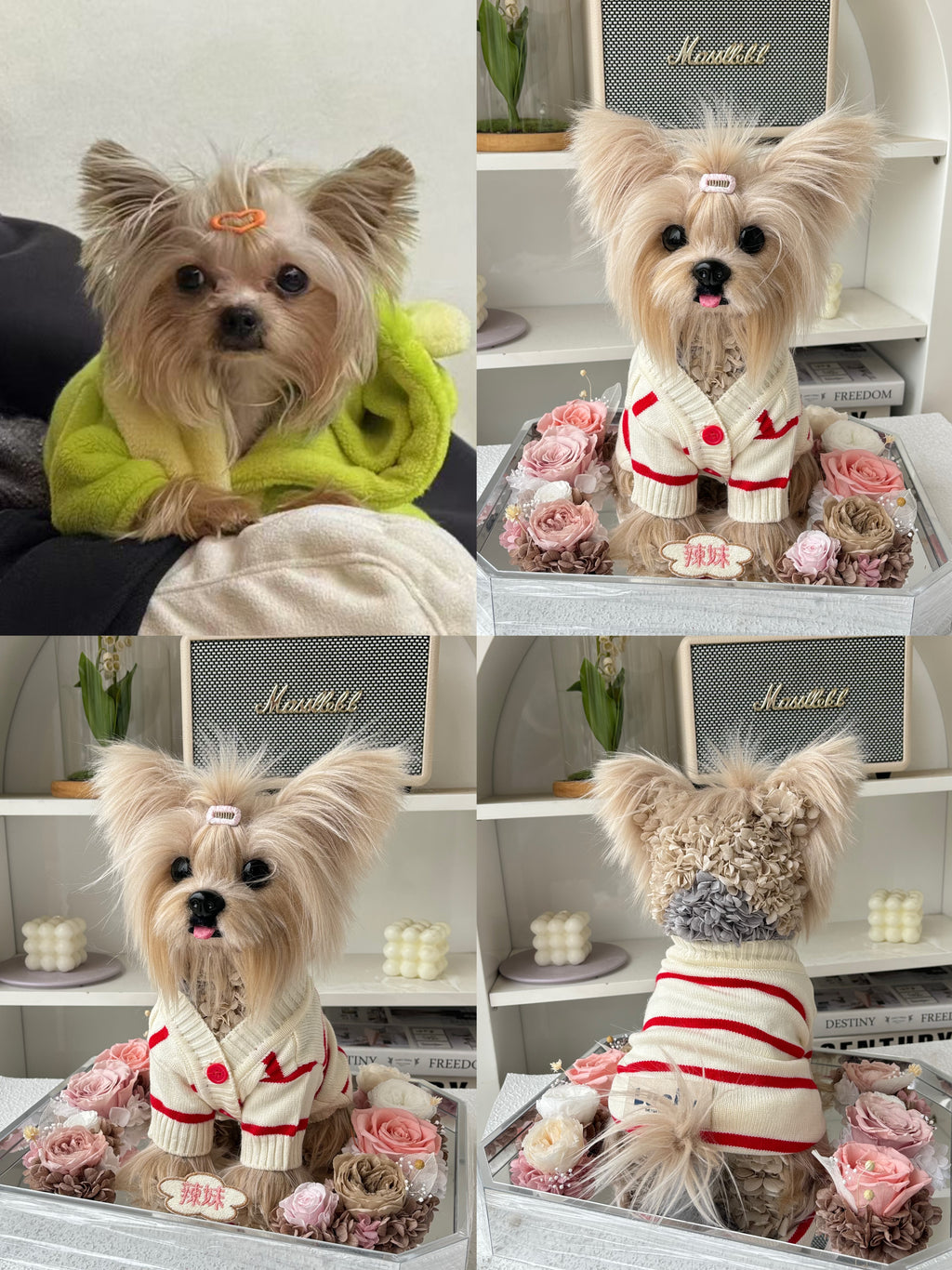 Custom dog memorial figure handmade from photo 