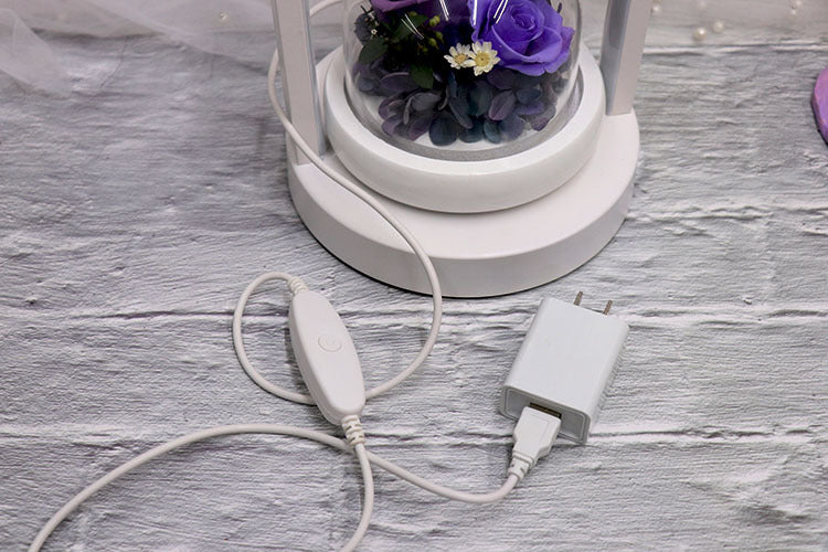 7d49ccbc-5811-44a5-86bc-9b283def6ac2