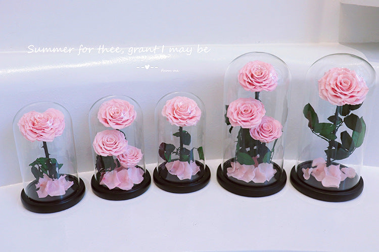 ba8f094c-a147-4e05-9b81-c31abb76da50