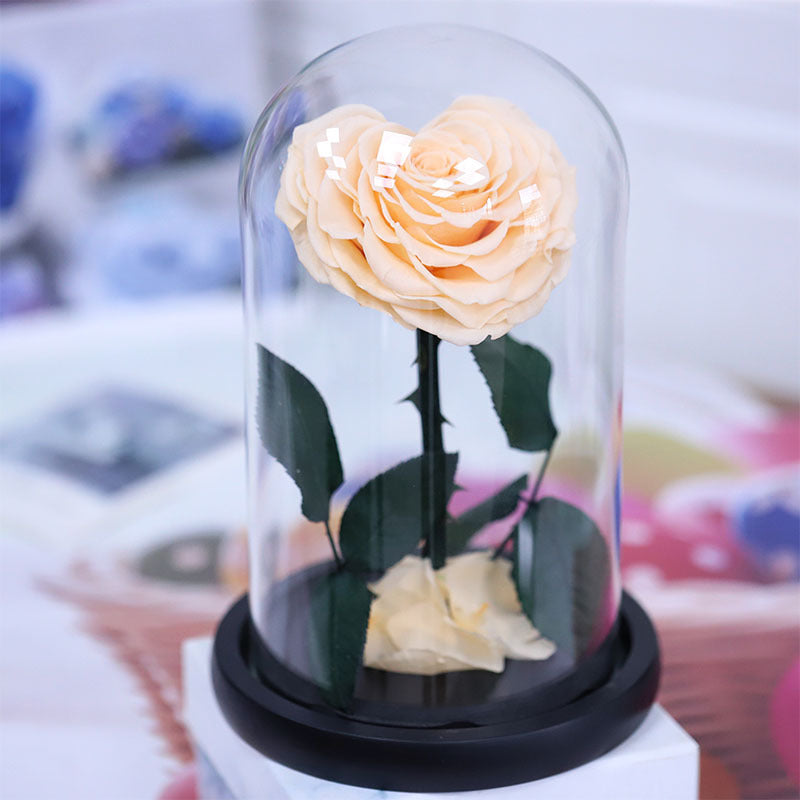 99095388-93ce-4538-ae91-19844febd1d6