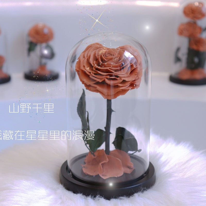 efff4e53-0883-4dd1-9264-24212d307922