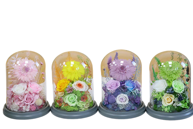 Preserved Flowers: Gerbera