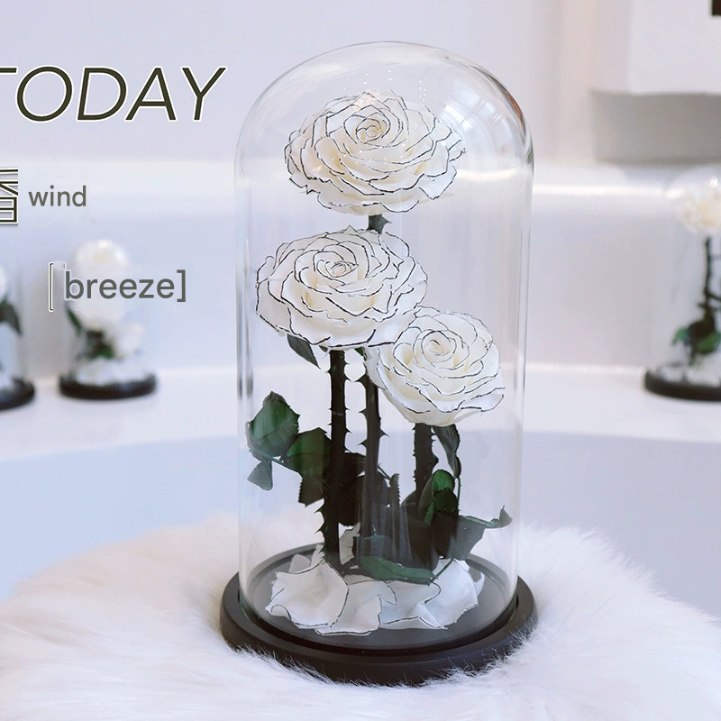 Three Preserved Roses in a Glass Dome Gift Box Valentine's Day Gift Christmas Mother's Day Gift
