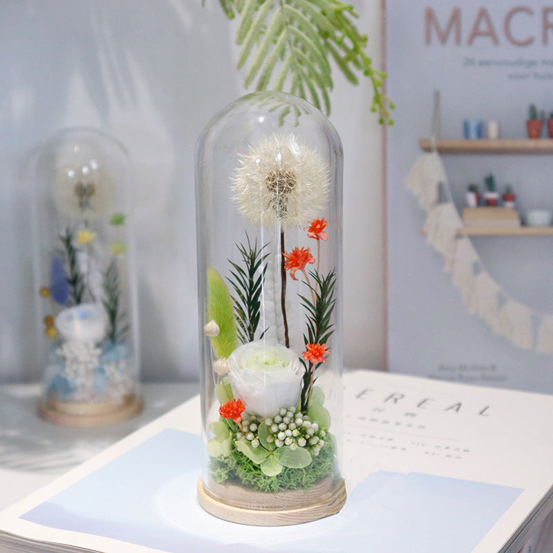 Minimal light tone preserved wishing dandelion in clear glass dome, everlasting flower table decoration, birthday gift for women